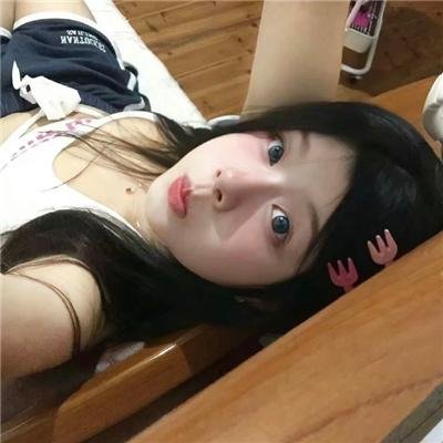 森林进化论